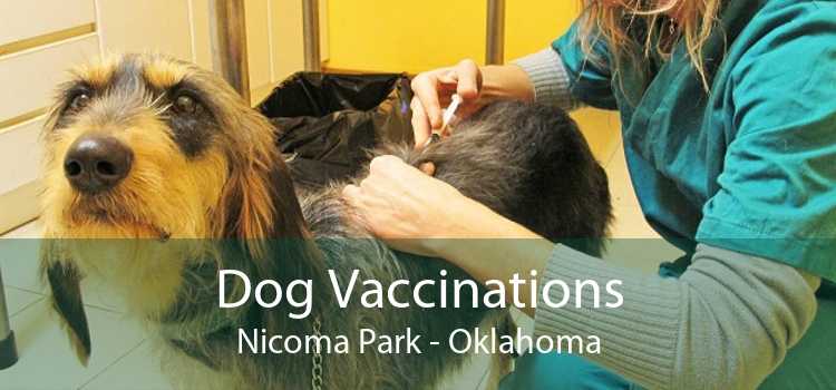 Dog Vaccinations Nicoma Park - Oklahoma