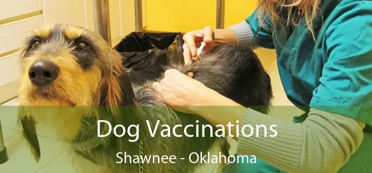 Dog Vaccinations Shawnee - Oklahoma