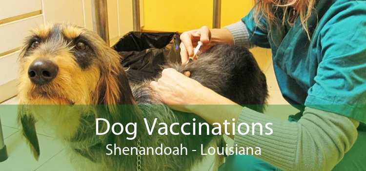 Dog Vaccinations Shenandoah - Louisiana