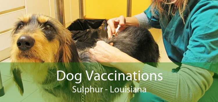 Dog Vaccinations Sulphur - Louisiana