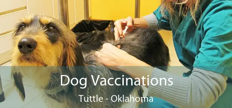 Dog Vaccinations Tuttle - Oklahoma
