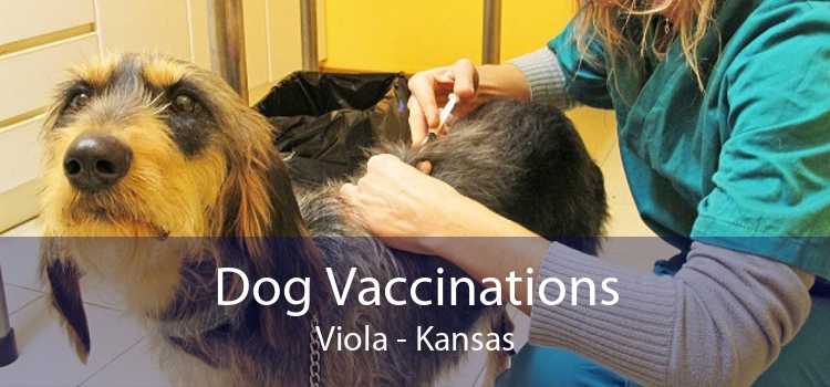 Dog Vaccinations Viola - Kansas