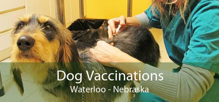 Dog Vaccinations Waterloo - Nebraska