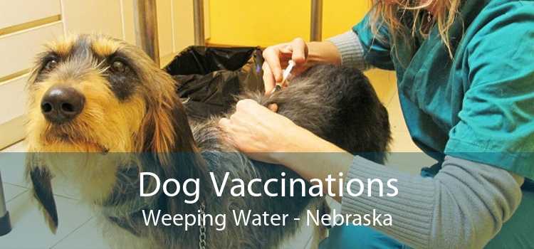 Dog Vaccinations Weeping Water - Nebraska