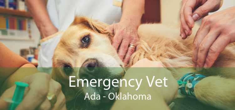 Emergency Vet Ada - Oklahoma