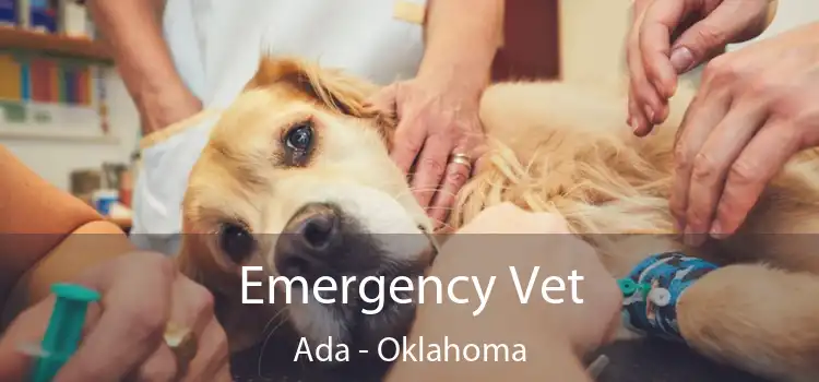 Emergency Vet Ada - Oklahoma