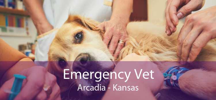 Emergency Vet Arcadia - Kansas