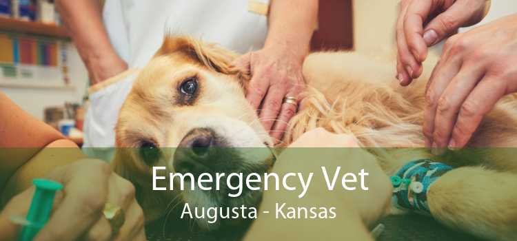 Emergency Vet Augusta - Kansas