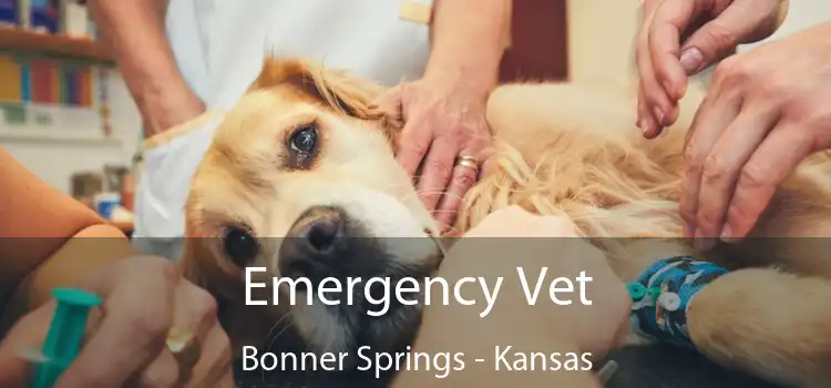 Emergency Vet Bonner Springs - Kansas