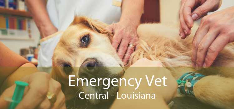 Emergency Vet Central - Louisiana
