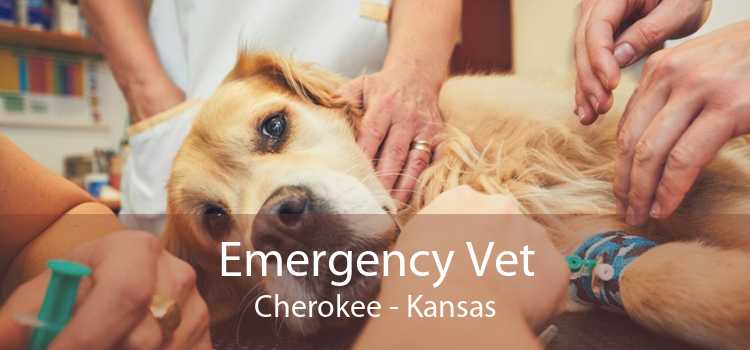 Emergency Vet Cherokee - Kansas