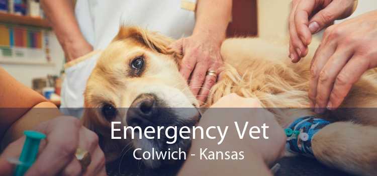 Emergency Vet Colwich - Kansas