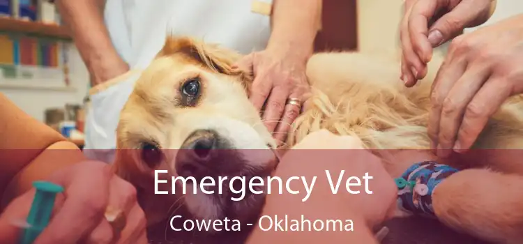Emergency Vet Coweta - Oklahoma
