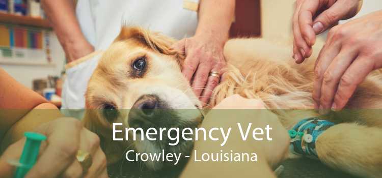 Emergency Vet Crowley - Louisiana
