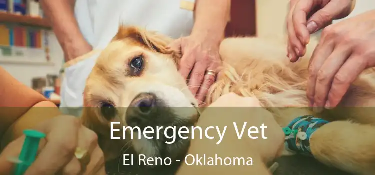 Emergency Vet El Reno - Oklahoma