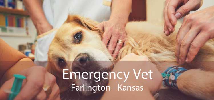 Emergency Vet Farlington - Kansas