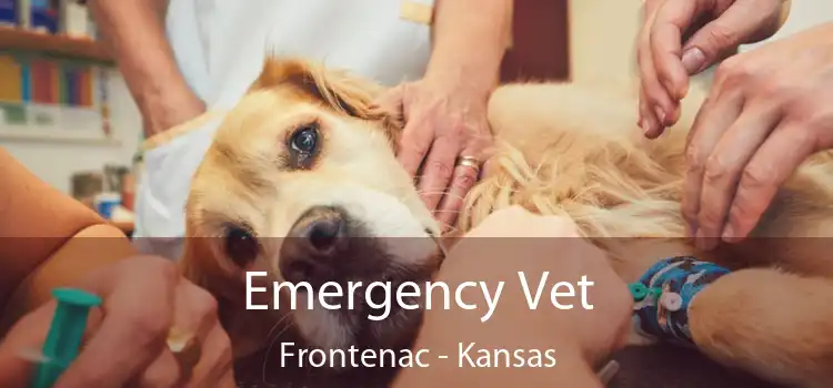 Emergency Vet Frontenac - Kansas