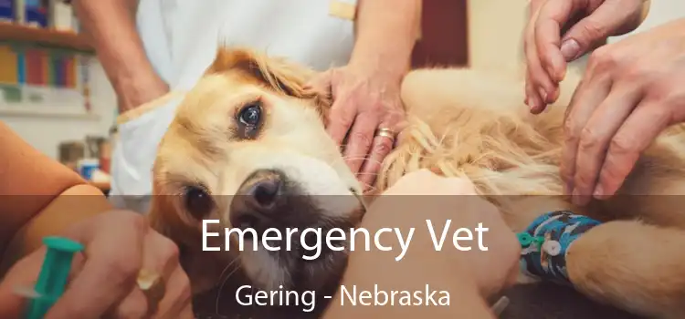Emergency Vet Gering - Nebraska