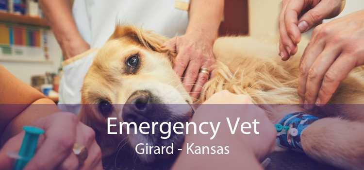 Emergency Vet Girard - Kansas