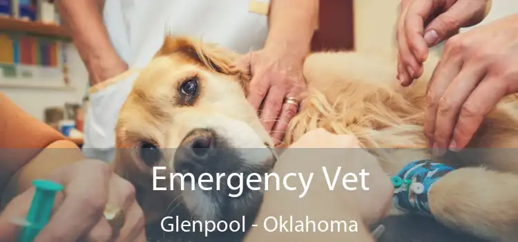 Emergency Vet Glenpool - Oklahoma