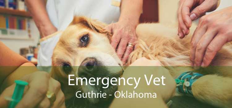Emergency Vet Guthrie - Oklahoma
