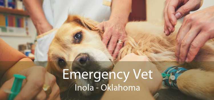 Emergency Vet Inola - Oklahoma