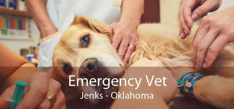Emergency Vet Jenks - Oklahoma