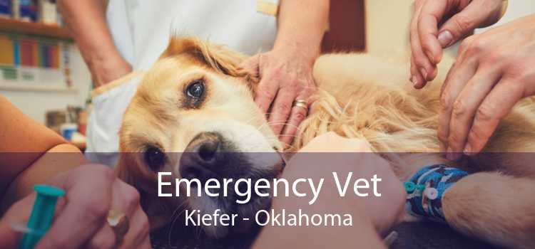 Emergency Vet Kiefer - Oklahoma