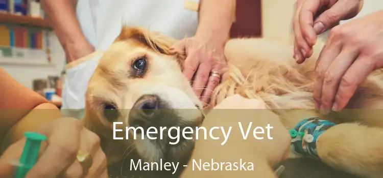 Emergency Vet Manley - Nebraska