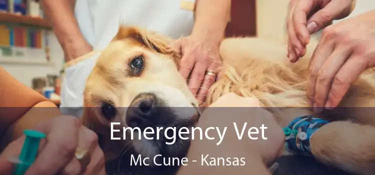 Emergency Vet Mc Cune - Kansas