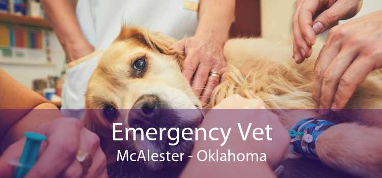 Emergency Vet McAlester - Oklahoma