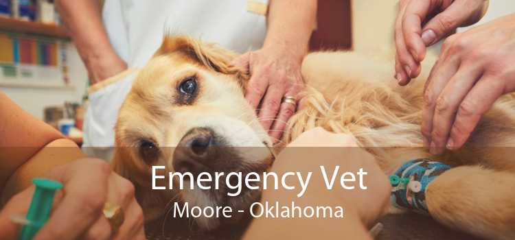 Emergency Vet Moore - Oklahoma