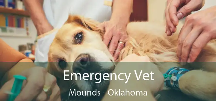 Emergency Vet Mounds - Oklahoma