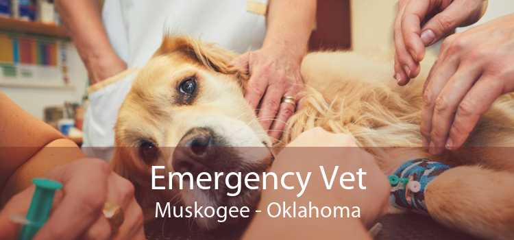 Emergency Vet Muskogee - Oklahoma