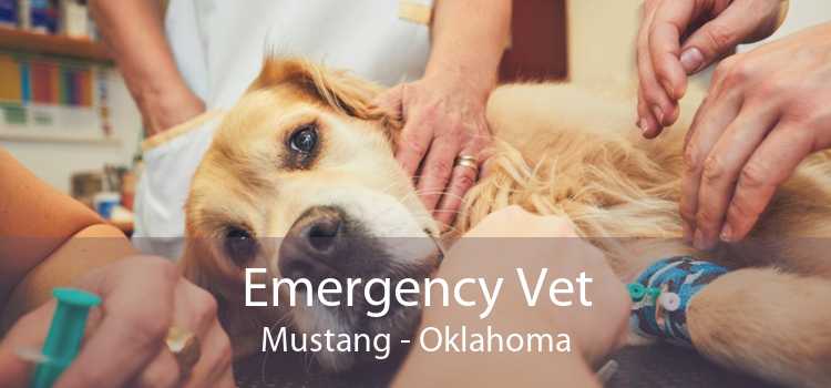 Emergency Vet Mustang - Oklahoma