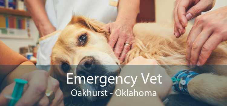 Emergency Vet Oakhurst - Oklahoma