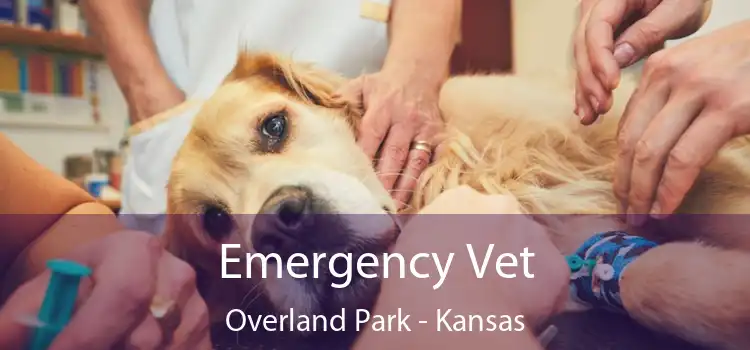 Emergency Vet Overland Park - Kansas