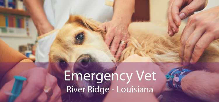 Emergency Vet River Ridge - Louisiana