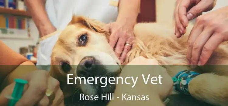 Emergency Vet Rose Hill - Kansas
