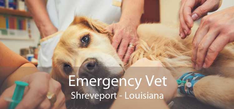 Emergency Vet Shreveport - Louisiana