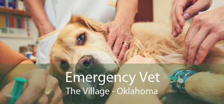 Emergency Vet The Village - Oklahoma