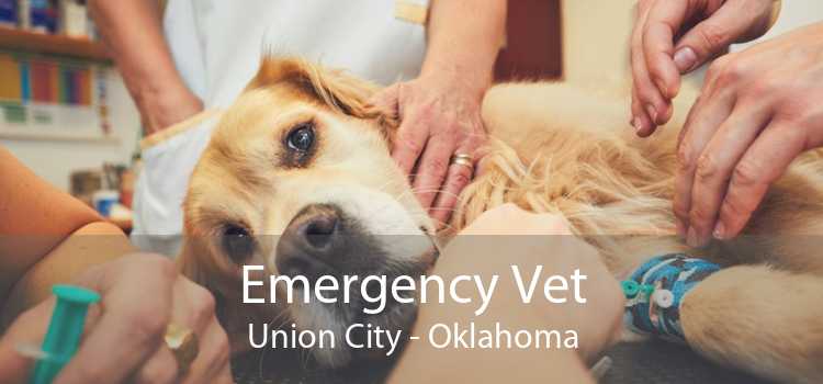 Emergency Vet Union City - Oklahoma