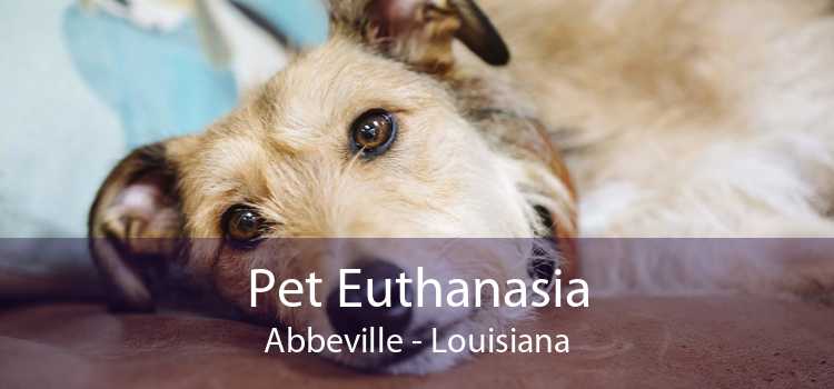 Pet Euthanasia Abbeville - Louisiana