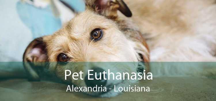 Pet Euthanasia Alexandria - Louisiana