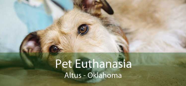 Pet Euthanasia Altus - Oklahoma
