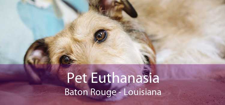 Pet Euthanasia Baton Rouge - Louisiana