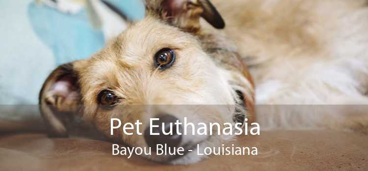 Pet Euthanasia Bayou Blue - Louisiana