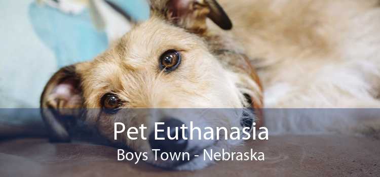 Pet Euthanasia Boys Town - Nebraska