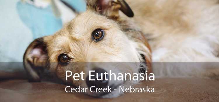 Pet Euthanasia Cedar Creek - Nebraska