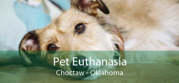 Pet Euthanasia Choctaw - Oklahoma